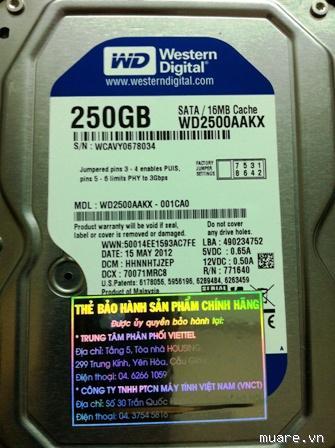 HDD 250GB WD